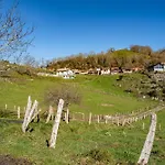 Picuastur * Onís